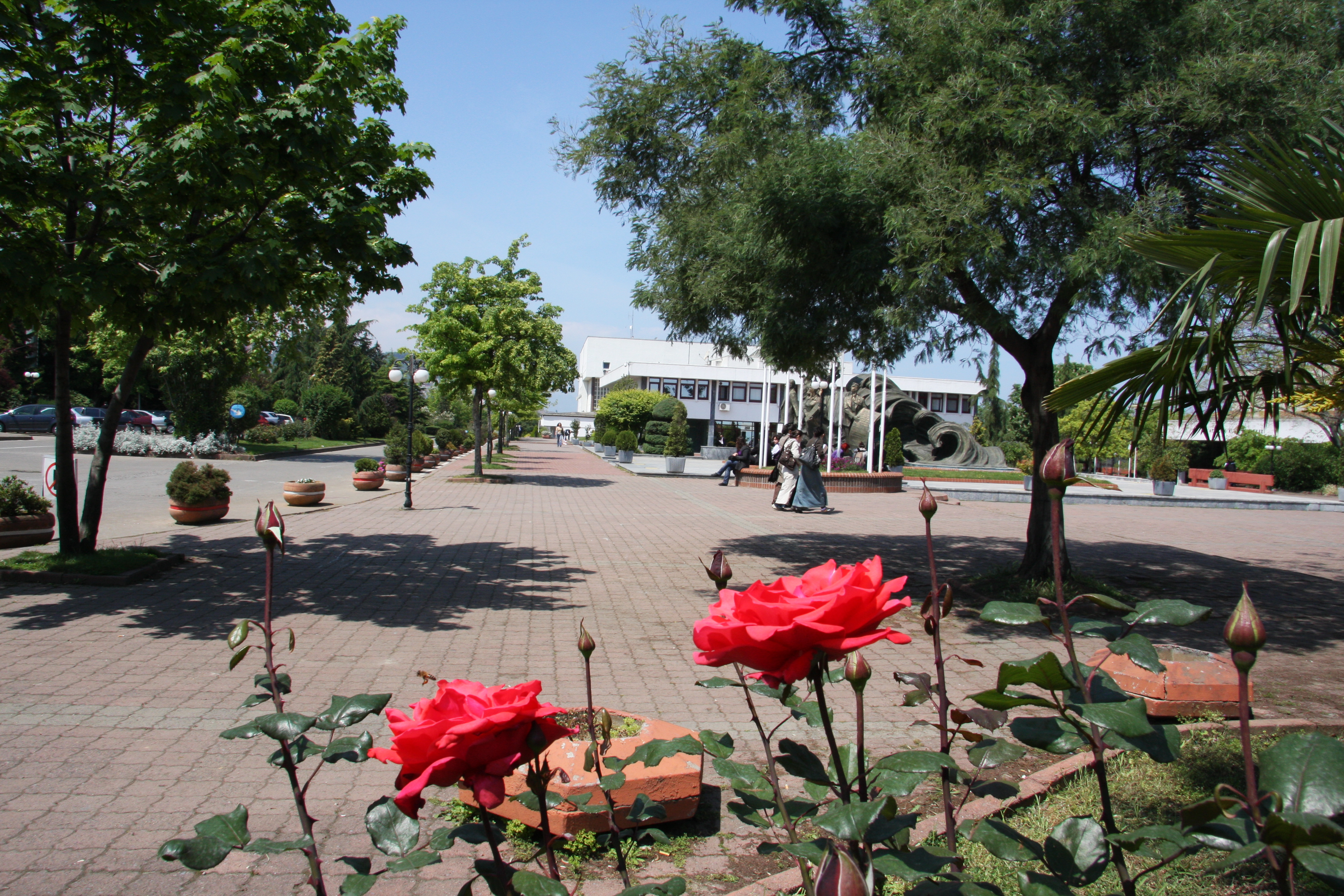 KT&Uuml; Kamp&uuml;s